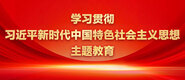 404黄骚喷水视频学习贯彻习近平新时代中国特色社会主义思想主题教育_fororder_ad-371X160(2)